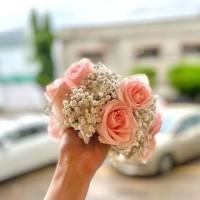 Beautiful Gajre